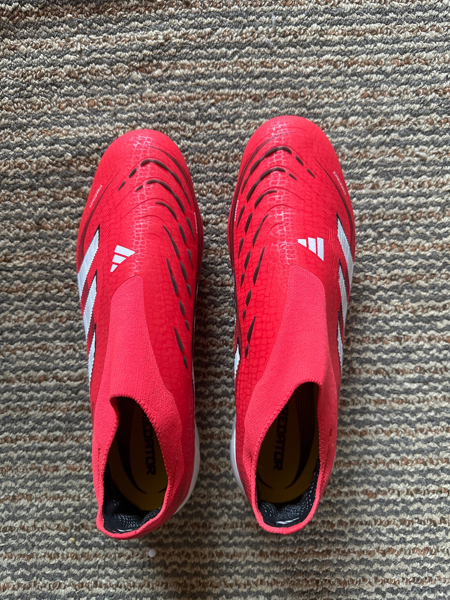 Adidas Predator Red (Laceless)